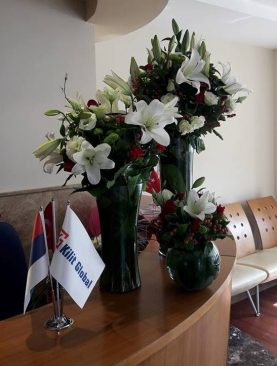 LOBİ ÇALIŞMA2