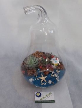 TERARYUM